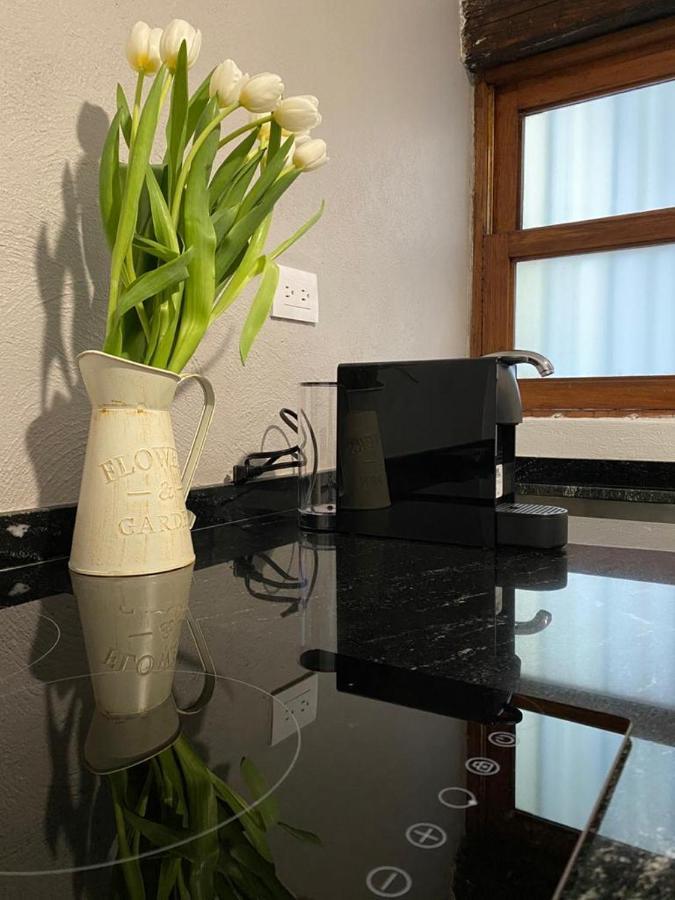 Siete Puertas Coyoacan Mexico City Ngoại thất bức ảnh