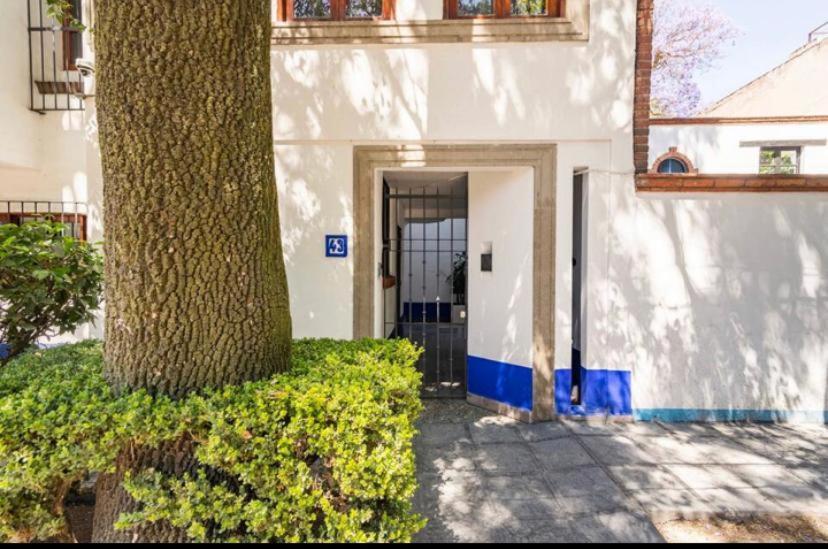 Siete Puertas Coyoacan Mexico City Ngoại thất bức ảnh